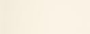 031 - Feather White